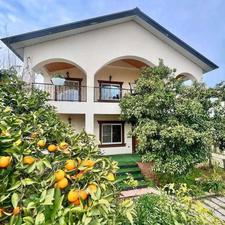 ویلا باغ پلاک یک جنگل سند تک برگ