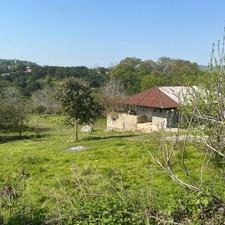 زمین مسکونی 300 متر در پایین کولا ساری