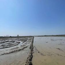 فروش 4 هکتار زمین