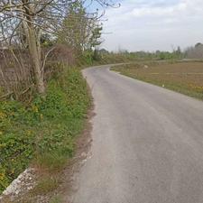 فروش ویلا 1200 متر در مرکز شهر