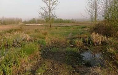 زمین باغات2000متر در دلیوندان
