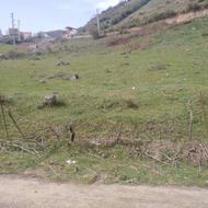 زمین ییلاقی مسکونی. روستای تیلم پل سفید