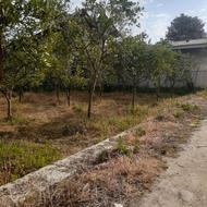 زمین خوش فرم و جای خیلی خوب .