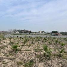 فروش زمین مسکونی 400 متر در خیابان هراز