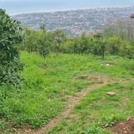 700 متر زمین در ارتفاعات روستای پتک رامسر