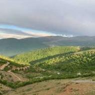 زمین فروشی 600 متر روستای ییلاقی رویان سنگ نو