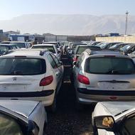 فروش دولتی 206