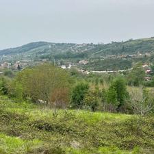 200متر زمین باغی پایین کولا ساری ( کوچه طبیعت)