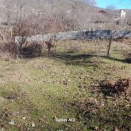زمین 670 متری واقع در روستای لاجیم