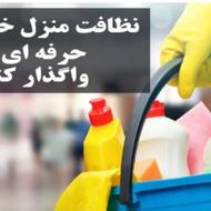 نظافت منزل،باغ و ویلا،اداری تجاری و پذیرایی مجالس مهمانی ها