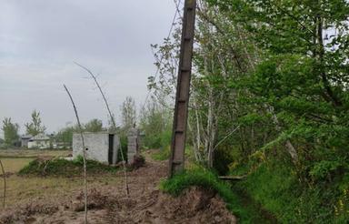 فروش زمین کشاورزی 1000 متر در جعفرآباد