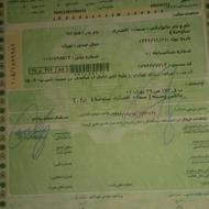 پرایدصندوق دار یشمی