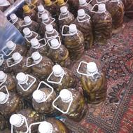 خیارشور تردوتازه