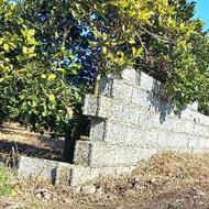 زمین کشاورزی