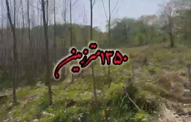 فروش زمین‌داخل‌طرح 1350مترآزارستانکی