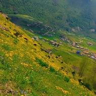 فروش زمین در روستای الیت