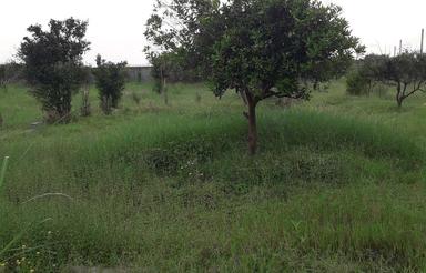فروش زمین در روستای ارمک