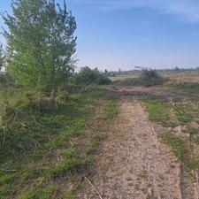 8000 متر زمین مزروعی در طارمسر لولمان رشت