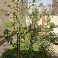 111 متری اپارتمان در ابتدای کهندژدوطرف نور