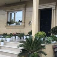جویای کار سنگ کاری و کاشی کاری