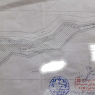 زمین باغ مرکبات