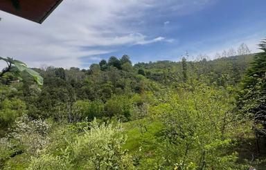 فروش ویلا 7500 متر در وسطی کلا