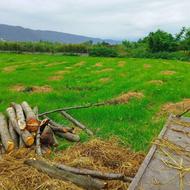 فرصتی بینظیر برای سرمایهگذاری: زمین کشاورزی 5000 متری