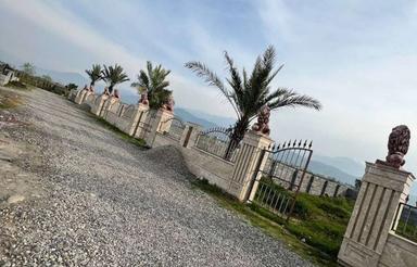 زمین مسکونی 250 متر در تنکابن آبکله سر کوچک