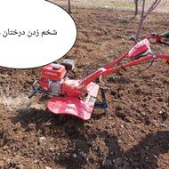 شخم زدن درختان وباغ