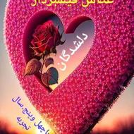 عکاس و فیلمبردار مجالس