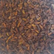 کشمش مویز خرما