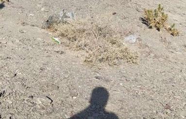فروش زمین روستای پاسک بالا