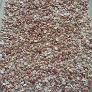 لوبیا چیتی(لپه)