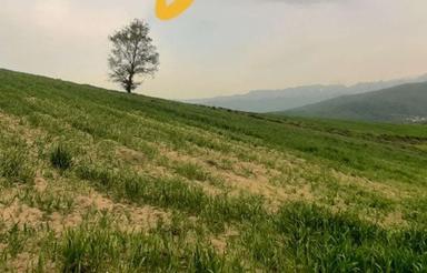 فروش زمین کشاورزی 3400 دو دانگه روستای مجی.