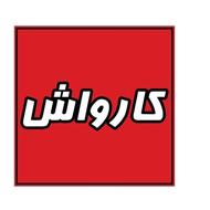 نیروی کار در کارواش