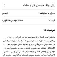 تخمه افتابگردون