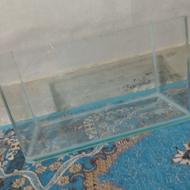 آکواریوم ماهی