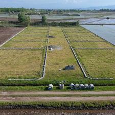 زمین مخصوص سود و سرمایه گذاری از 184 متر