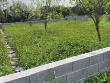 فروش زمین 250 متری در شیپور