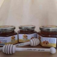عسل طبیعی ، موم ، عسل بره موم ، گرده گل