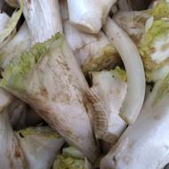 کنگرپاک شده طبیعی مراغه