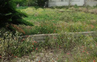 فروش زمین مسکونی 230 متر در جاده فرح آباد