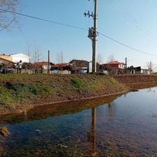 1600 متر زمین شالیزار بر جاده اصلی