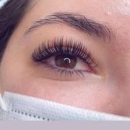 اجاره تخت مژه در سالن زیبایی