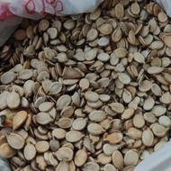 تخمه آجیلی درجه یک