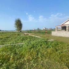 1000 متر زمین نزدیک به جاده اصلی