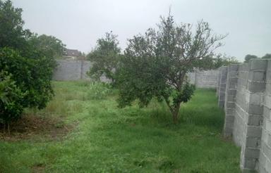 1556 متر باغ دارای مجوز ساخت