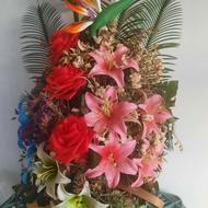 سبدگل بزرگ مجلسی
