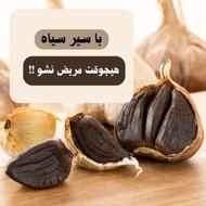 سیر سیاه کارخانه ای