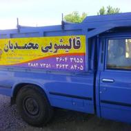 قالیشویی محمدیان
